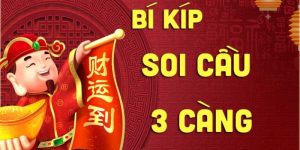 soi cau 3 cang 1 1