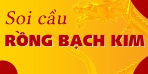 soi cau rong bach kim 1 1