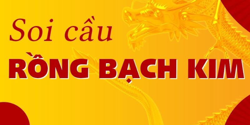 soi cau rong bach kim 1 1