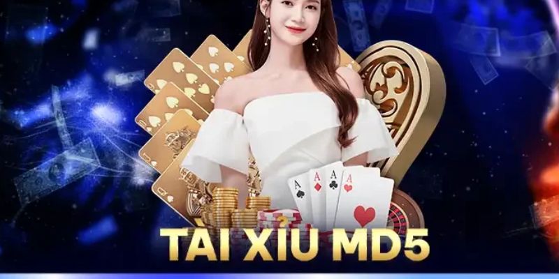 tai xiu md5 1 1